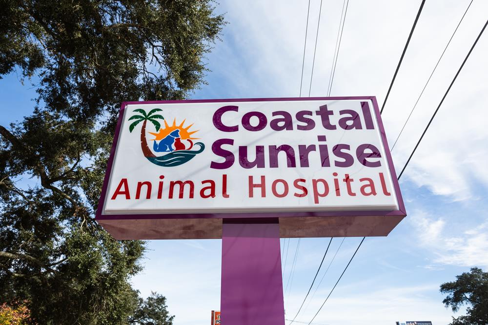 About Coastal Sunrise Animal Hospital