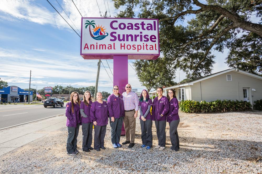 New Patient Special Veterinary Special in Pensacola, FL | Coastal Sunrise  Animal Hospital
