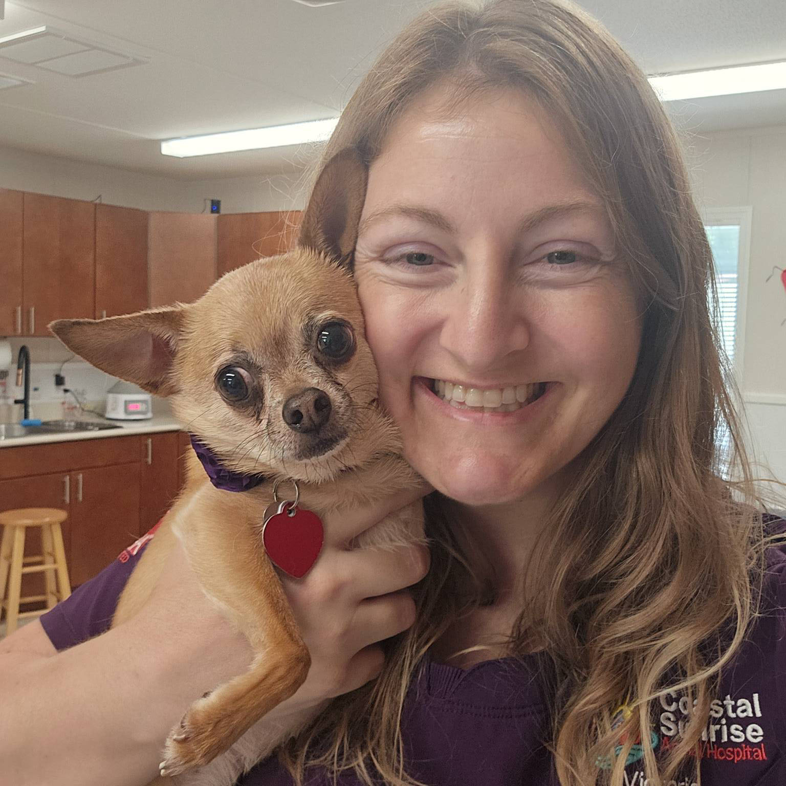 veterinarian holding a small dog
