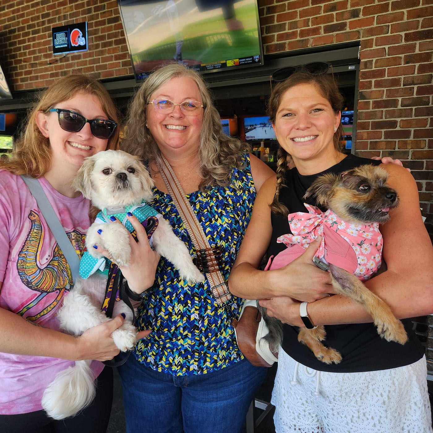 veterinarians holding small cute dogs