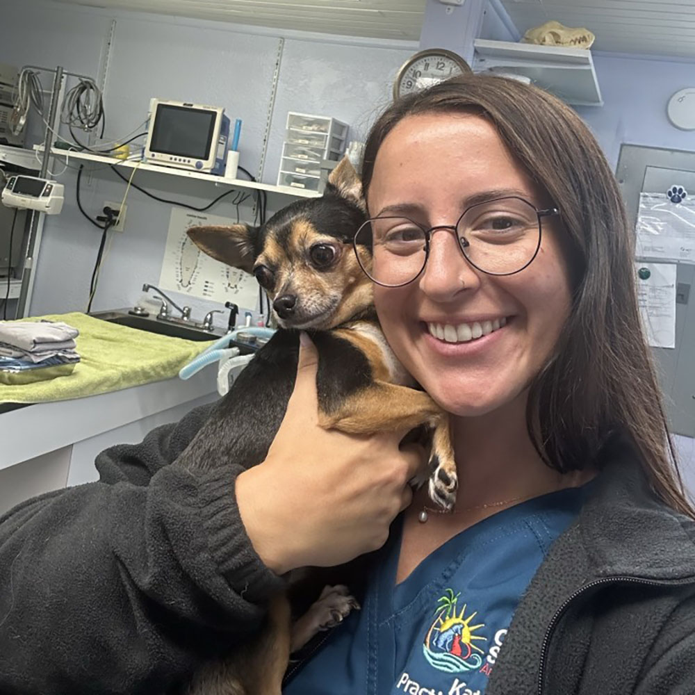 veterinarian holding small dog