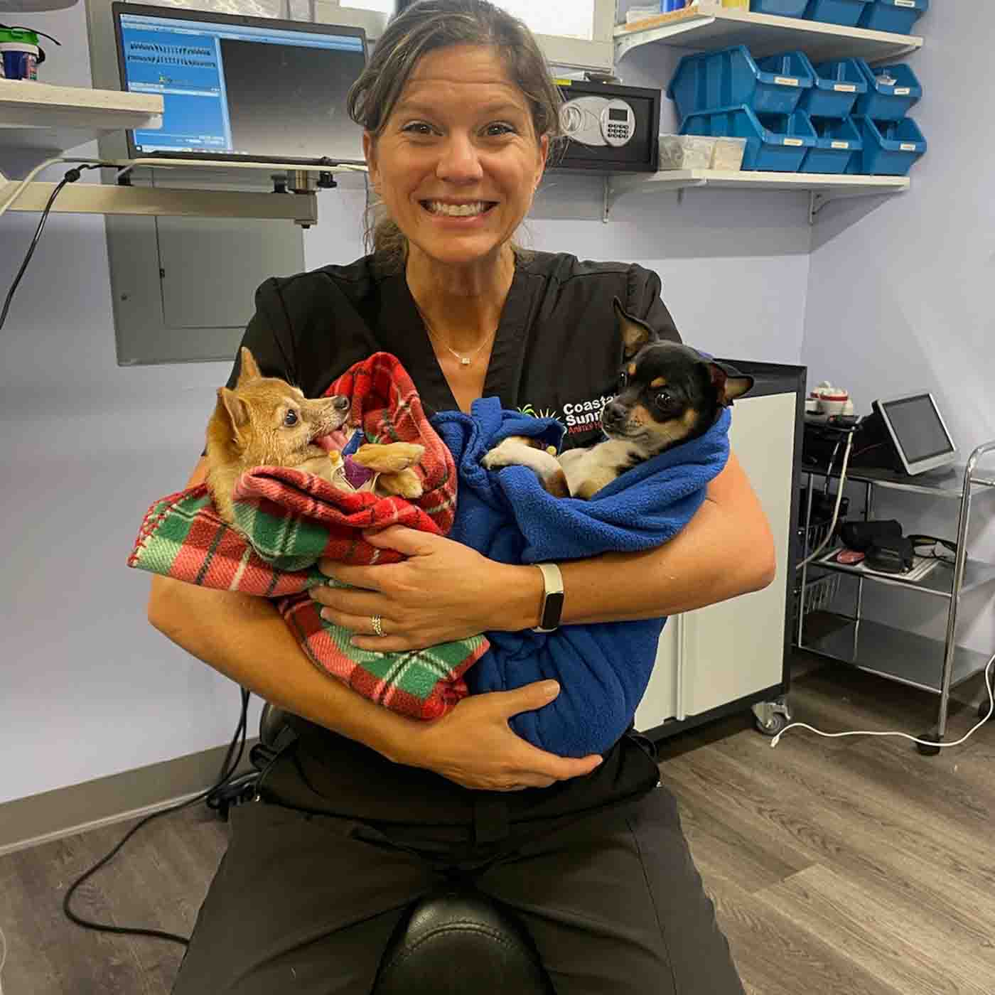 Two puppies snuggled with veterinarian.
