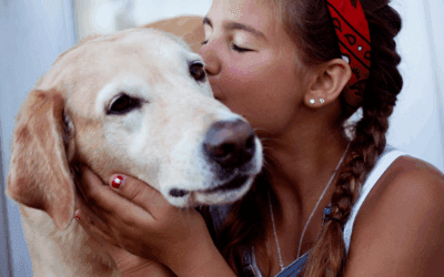 Zoonotic Diseases from Pets: What You Need to Know