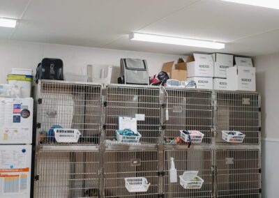 Vet clinic animal cages