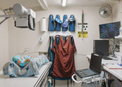 Veterinary exam room interior