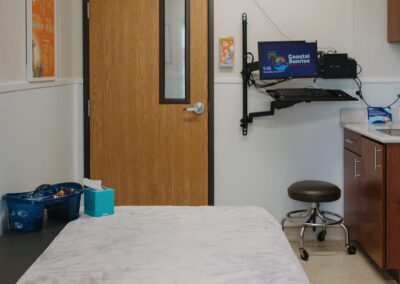 Veterinary exam room interior