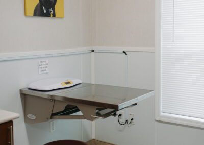 Veterinary exam room interior empty