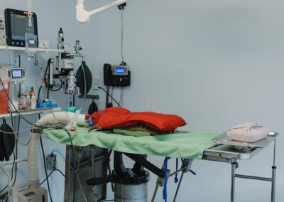 Veterinary surgery room, empty table