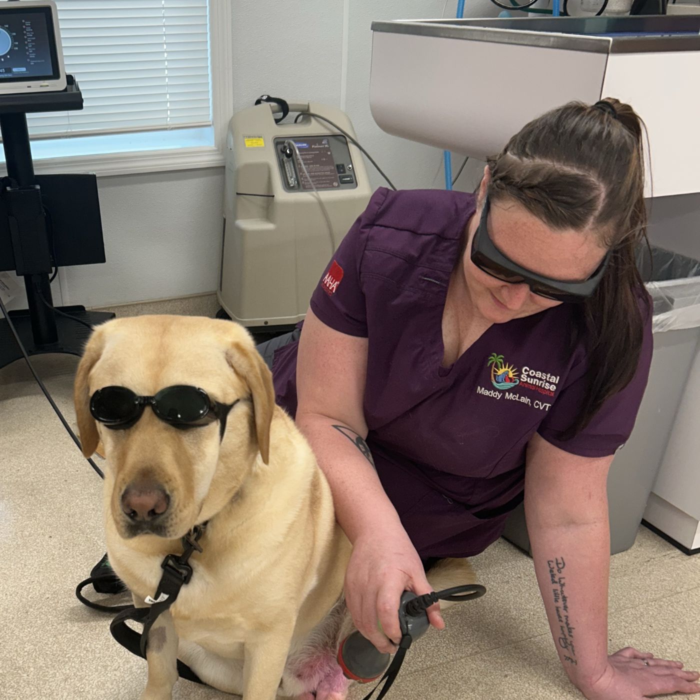 vet staff doing laser therapy for a dog