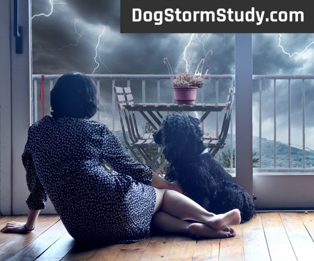 Dog thunderstorm study